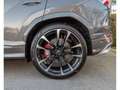 Lamborghini Urus 4.0 V8 Auto./PANO/23/360/B\u0026O/HEAD-UP/VOLL Gris - thumbnail 30