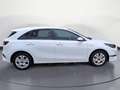 Kia Ceed / cee'd Cee´d 1.0 T-GDI Vision #EmotionPaket #Kame Weiß - thumbnail 6