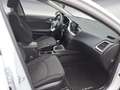 Kia Ceed / cee'd Cee´d 1.0 T-GDI Vision #EmotionPaket #Kame Weiß - thumbnail 9