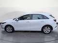 Kia Ceed / cee'd Cee´d 1.0 T-GDI Vision #EmotionPaket #Kame Weiß - thumbnail 3