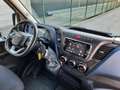 Iveco Daily Automatik NETTO € 19.800,- 18m³ L4H3 LED Weiß - thumbnail 3