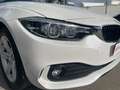 BMW 418 418d Gran Coupe' 150 Cv ,Chilometri Certificati bijela - thumbnail 10