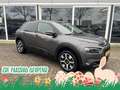 Citroen C4 Cactus 1.2 PureTech Business Plus / Vol automaat / Cruise Gris - thumbnail 1