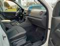 Volkswagen Amarok Basis SingleCab 4Motion/Klima/ Weiß - thumbnail 9
