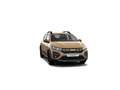 Dacia Sandero Stepway Extreme TCe 110 Apple CarPlay SHZ Beige - thumbnail 13
