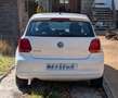 Volkswagen Polo Polo 1.6TDI Advance 90 Advance Blanco - thumbnail 3