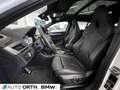 BMW X2 xDrive20i *EDITION M MESH* PANO HUD AHK 20" Weiß - thumbnail 11
