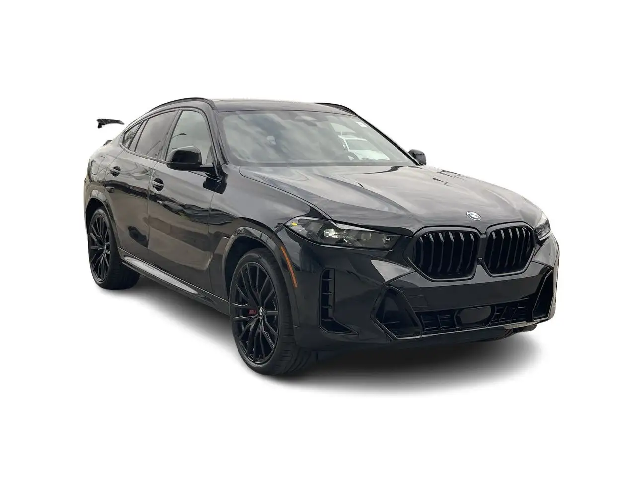 BMW X6 photo BMW X6