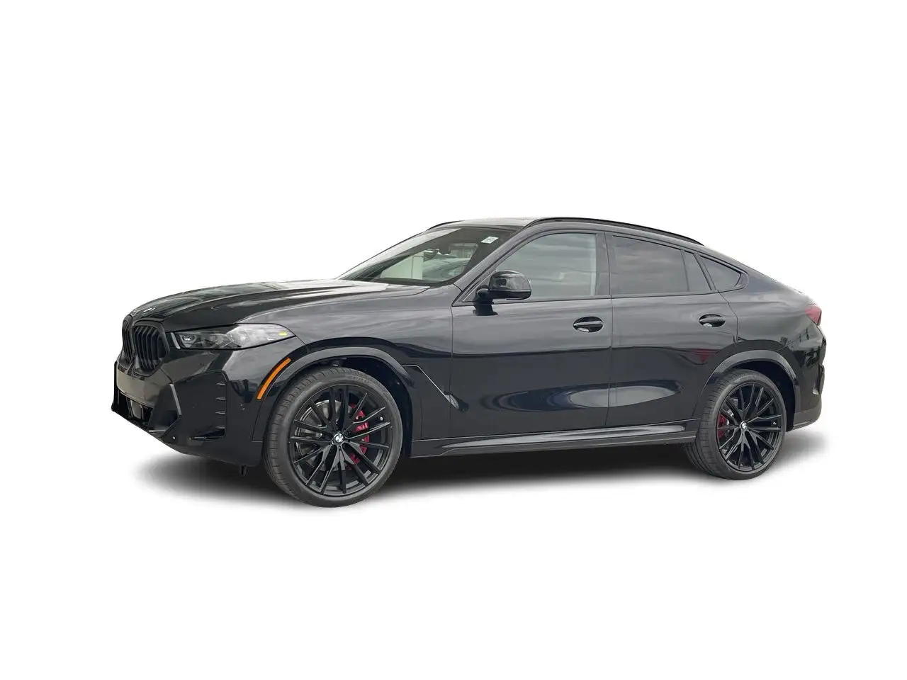 BMW X6 photo BMW X6