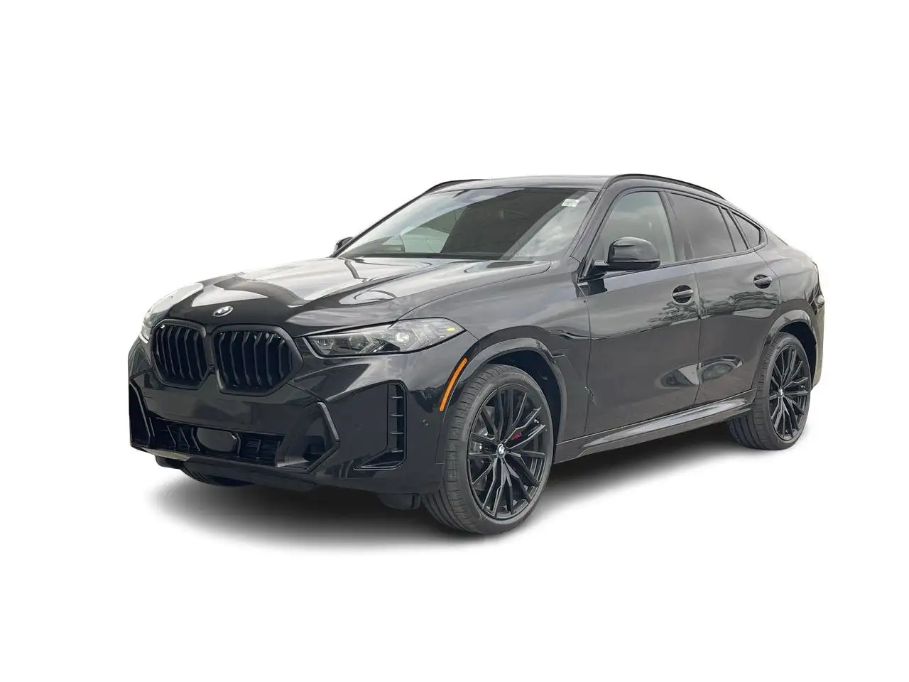 BMW X6 photo BMW X6