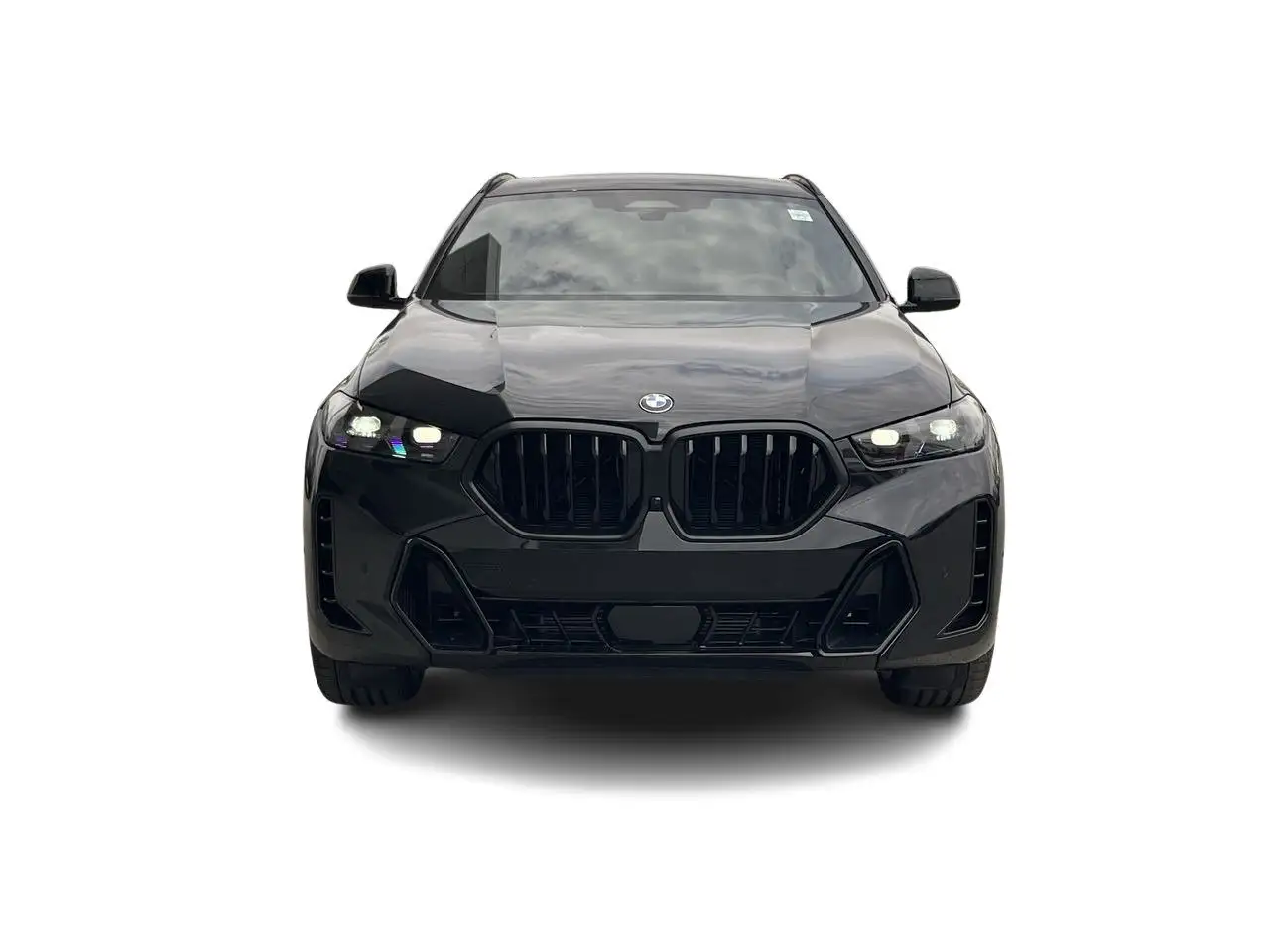 BMW X6 photo BMW X6