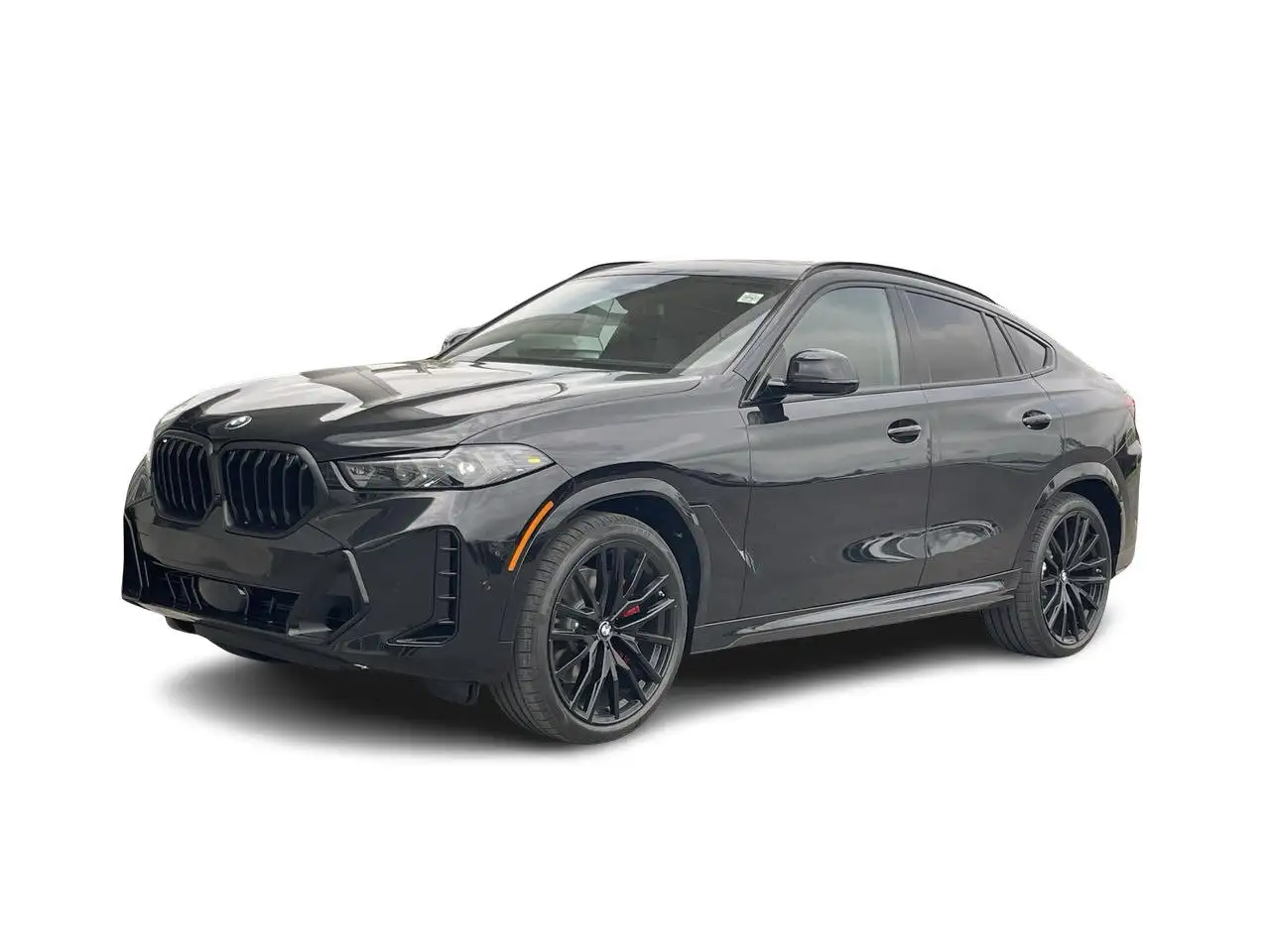 BMW X6 photo BMW X6