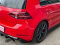 Volkswagen Golf GTI Perf. 2.0 245CV TSI DSG 5p. BMT Rot - thumbnail 10