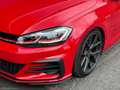 Volkswagen Golf GTI Perf. 2.0 245CV TSI DSG 5p. BMT Rot - thumbnail 9