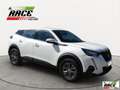 Peugeot 2008 BlueHDi 110 S&S Active Bianco - thumbnail 6