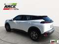 Peugeot 2008 BlueHDi 110 S&S Active Bianco - thumbnail 2