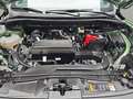 Ford Kuga KUGA 1.5 EB AUTO. ST-LINE NAVI LED KLIMAAUTO WINTE Verde - thumbnail 16
