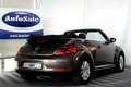 Volkswagen Beetle Cabriolet 1.2 TSI Design 1eEIGNR! PDC CRUISE STOEL Bruin - thumbnail 3