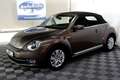 Volkswagen Beetle Cabriolet 1.2 TSI Design 1eEIGNR! PDC CRUISE STOEL Bruin - thumbnail 8