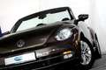 Volkswagen Beetle Cabriolet 1.2 TSI Design 1eEIGNR! PDC CRUISE STOEL Bruin - thumbnail 9