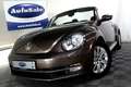 Volkswagen Beetle Cabriolet 1.2 TSI Design 1eEIGNR! PDC CRUISE STOEL Bruin - thumbnail 25