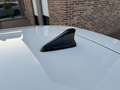 Hyundai i20 FAMILY 1.0 T-GDI 100PK DCT AR/CAM NAV NIEUW 0KM Wit - thumbnail 36