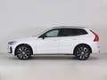 Volvo XC60 B4 (d) FWD GEARTRONIC PLUS DARK Bianco - thumbnail 2