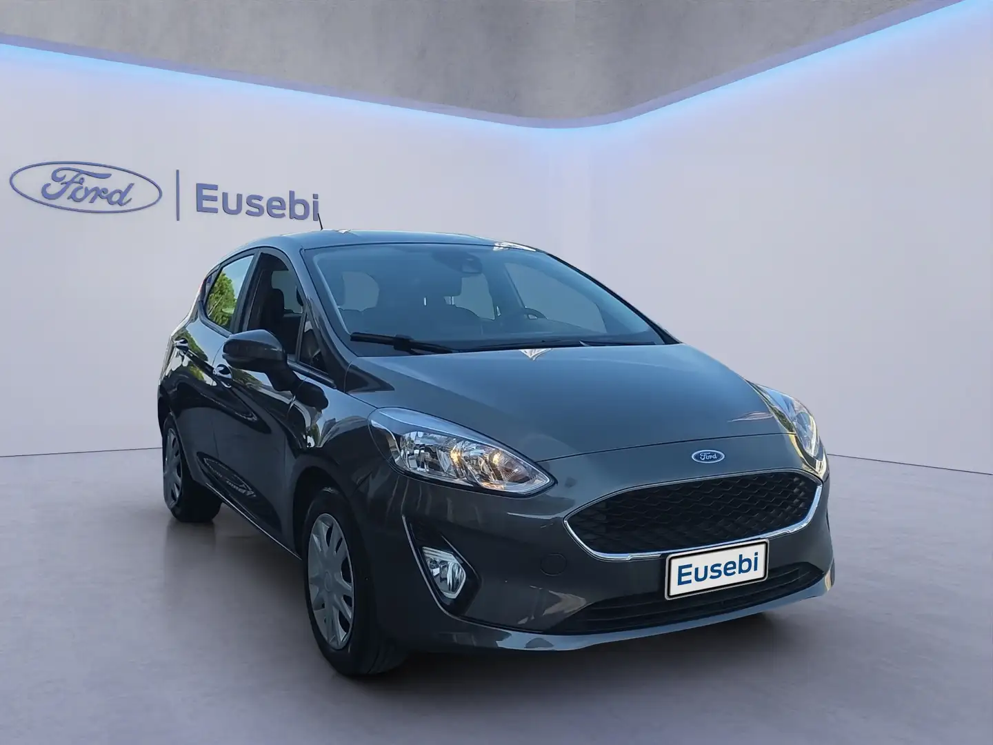 Ford Fiesta 1.5 EcoBlue 5 porte Plus Grau - 1