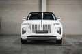 Hongqi E-HS9 President 99kWh President - thumbnail 3