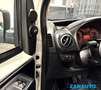Fiat Fiorino 1.4 METANO Cargo SX *PREZZO+IVA* Bianco - thumbnail 10