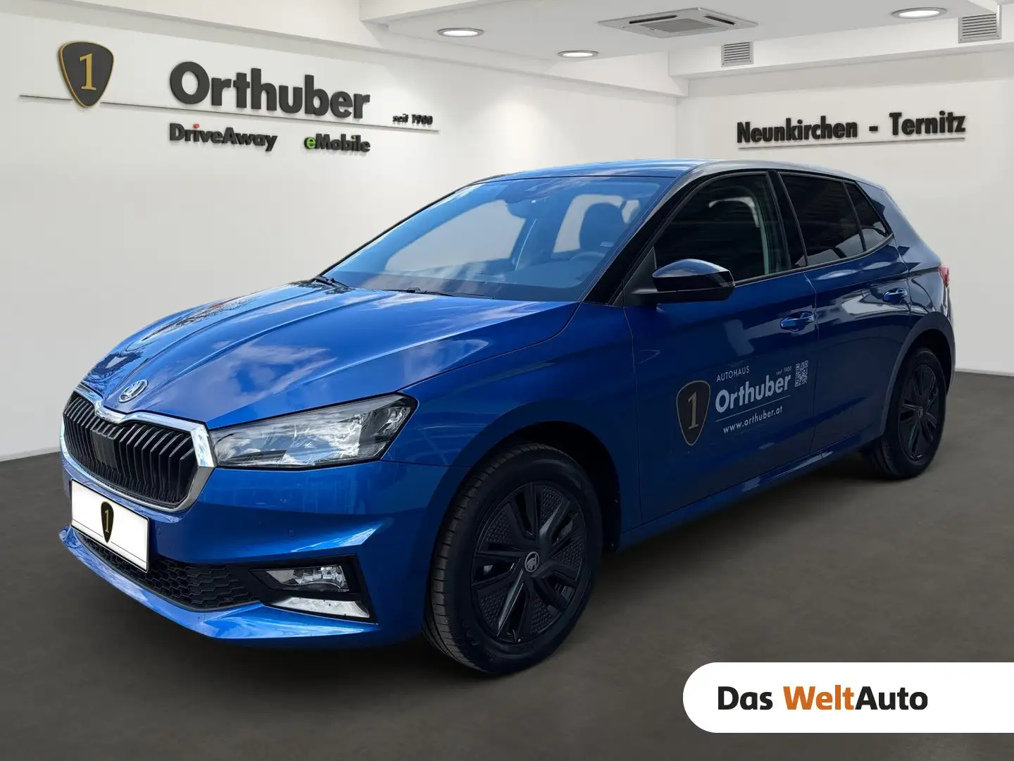 Skoda Fabia Selection TSI Blau - 1