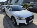 Audi Q2 design Weiß - thumbnail 3