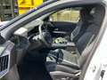 Opel Grandland Grandland 1.2 Mild-Hybrid GS Panoramadach Verfügba Weiß - thumbnail 7