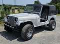 Jeep Wrangler Wrangler Sahara Gris - thumbnail 22