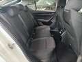 Skoda Octavia 1.5 TSI MHEV Ambition DSG - thumbnail 20