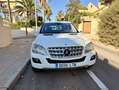 Mercedes-Benz ML 320 ML 320CDI 4M Aut. Blanco - thumbnail 7