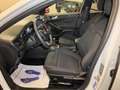 Ford Focus Focus SW 1.5 ecoblue ST-Line s Wit - thumbnail 12