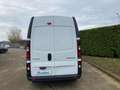 Renault Trafic T30 2.0 dCi 150CV PL-TA DOPPIA PORTA NETTO IVA Bianco - thumbnail 10