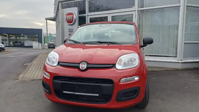 Fiat Panda Pandina Pop
