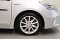 Toyota Prius+ Prius Wagon 1.8 Aspiration 96g Argento - thumbnail 9