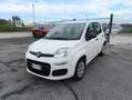 Fiat Panda 1.2 Easy PREZZO REALE!! TAGLIANDI FIAT! Bianco - thumbnail 3