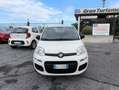 Fiat Panda 1.2 Easy PREZZO REALE!! TAGLIANDI FIAT! Bianco - thumbnail 2