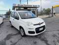 Fiat Panda 1.2 Easy PREZZO REALE!! TAGLIANDI FIAT! Bianco - thumbnail 1