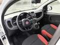Fiat Panda 1.2 Easy PREZZO REALE!! TAGLIANDI FIAT! Bianco - thumbnail 7