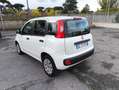 Fiat Panda 1.2 Easy PREZZO REALE!! TAGLIANDI FIAT! Bianco - thumbnail 4