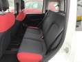 Fiat Panda 1.2 Easy PREZZO REALE!! TAGLIANDI FIAT! Bianco - thumbnail 9