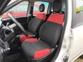 Fiat Panda 1.2 Easy PREZZO REALE!! TAGLIANDI FIAT! Bianco - thumbnail 8
