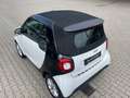 smart forTwo Smart  Cabrio PASSION/LED&SENSOR/COOL&AU Weiß - thumbnail 12