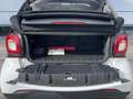 smart forTwo Smart  Cabrio PASSION/LED&SENSOR/COOL&AU Weiß - thumbnail 9