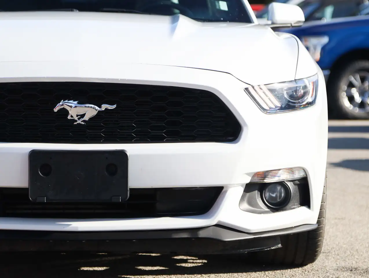 Ford Mustang снимка Ford Mustang